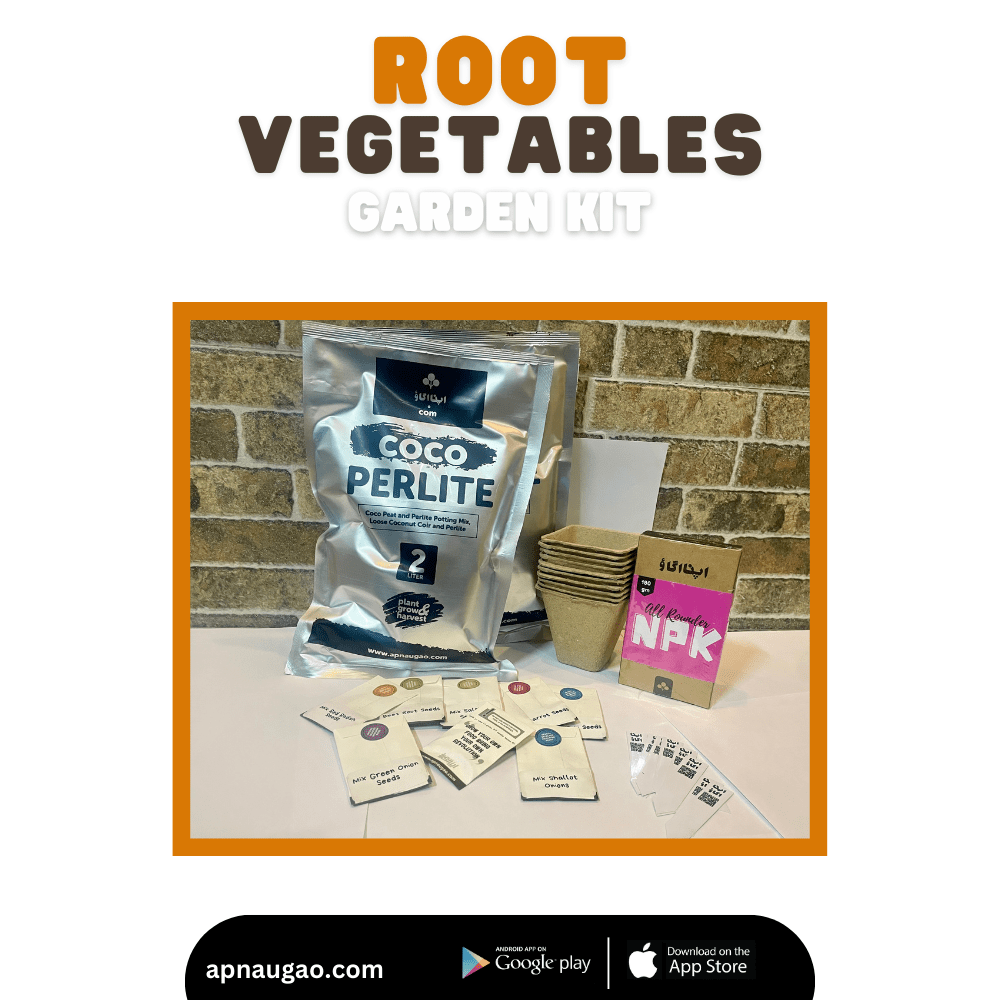 9 Root Vegetables Home Gardening Kit. DIY Easy to grow. - Apnaugao