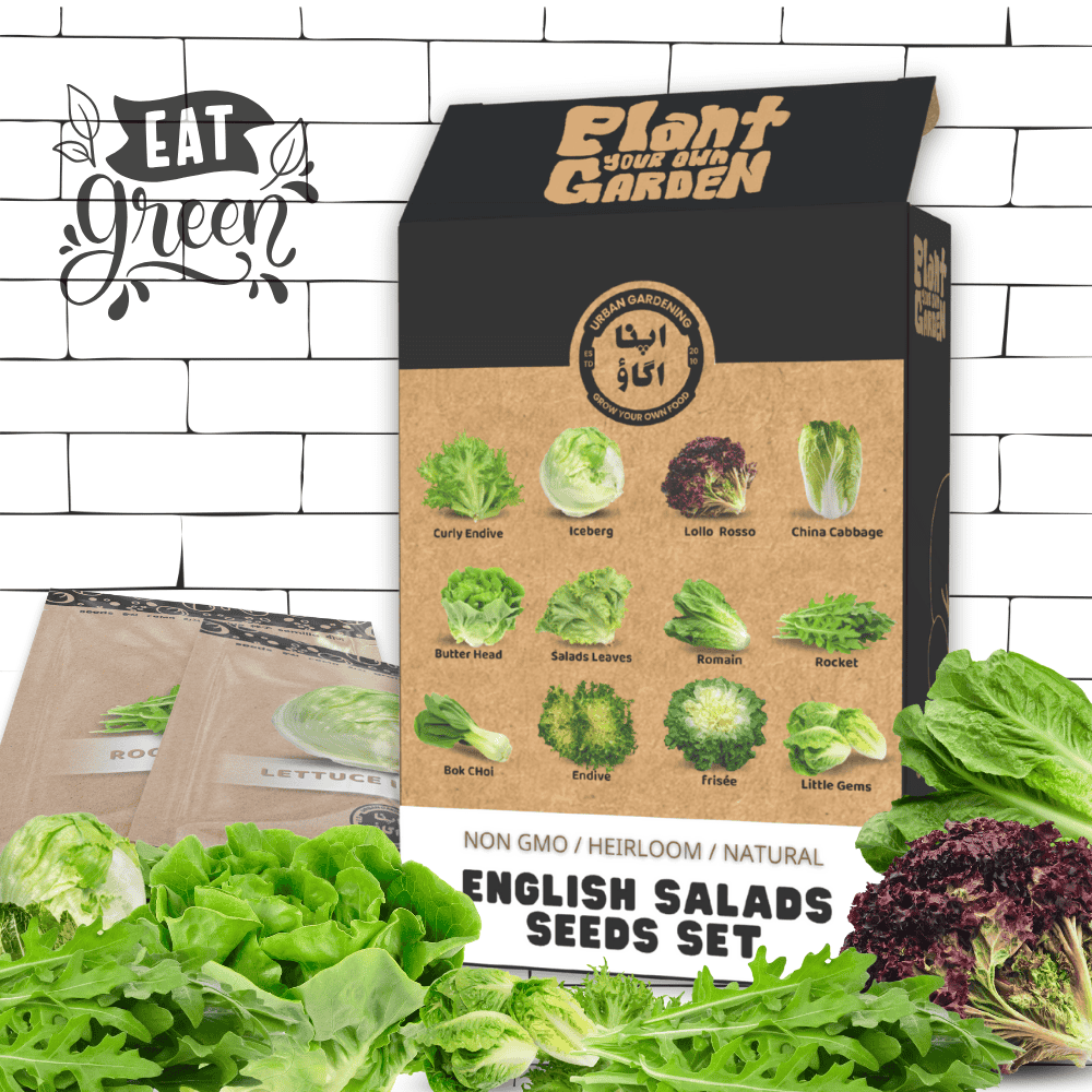 12 salads seeds bundle
