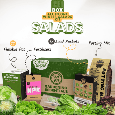English Salads Gardening Kit GREEN BOX – 12 salad green seed varieties with pots, potting mix and fertilizer for Pakistan winter home gardens