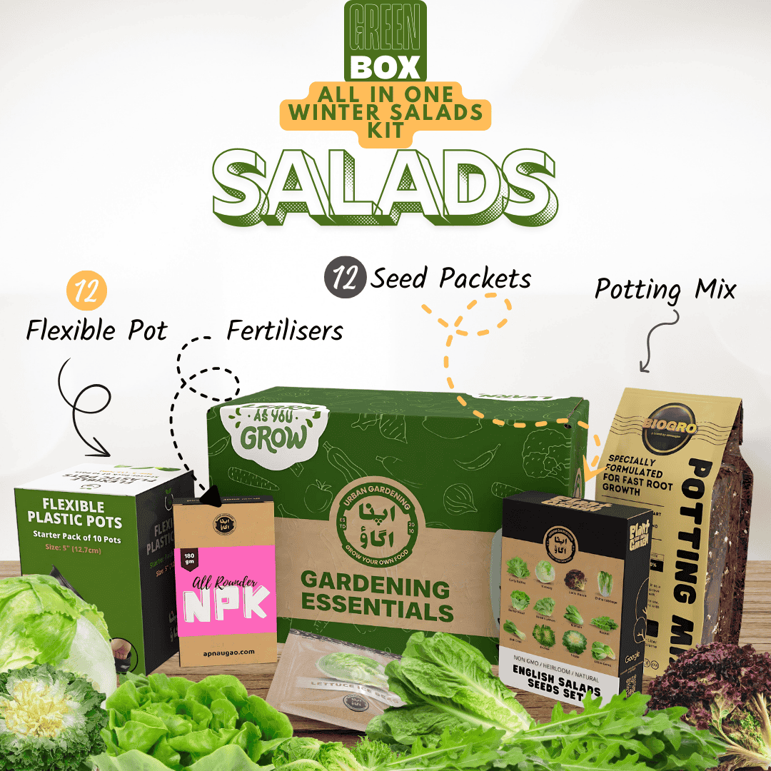 Gardening kit with salads seed packets, pots, and fertilizers on a white background