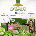 Gardening kit with salads seed packets, pots, and fertilizers on a white background