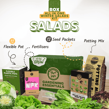 Gardening kit with salads seed packets, pots, and fertilizers on a white background