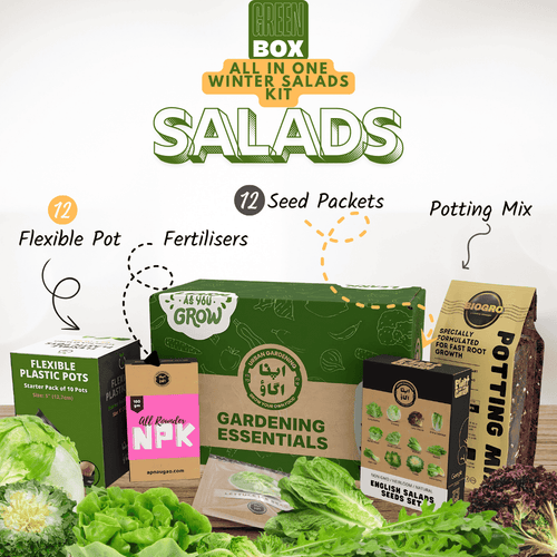 English Salads Gardening Kit – GREEN BOX
