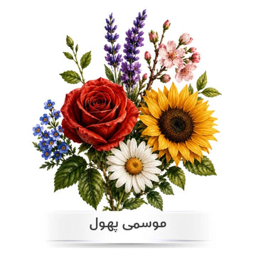 Seasonal flower seeds in Pakistan
