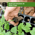 Seeds germination tray with plants and a hand holding soil