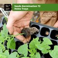Hand holding a seedling above a tray of seedlings with text about seeds germination and potting mix.