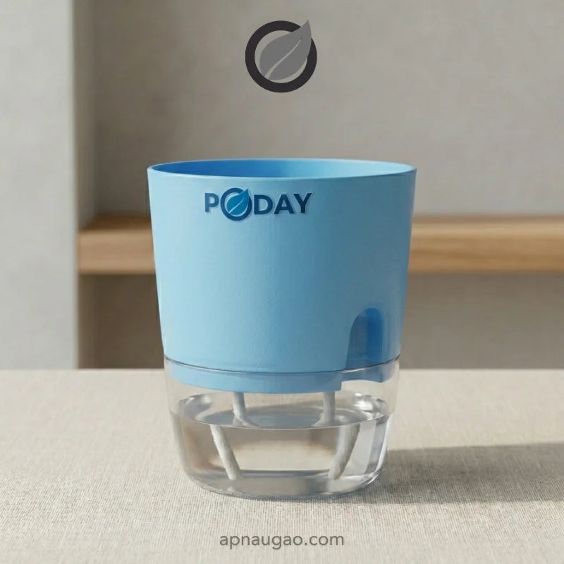 apnaugao self watering pots sky blue color