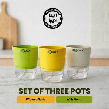 Set of three colorful self watering pots on big discount this season in Pakistan
