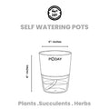 upgrade your indoor garden with this Self Watering Pots.