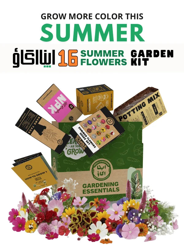 slider image slider_item_McAT9j