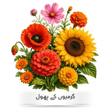 Summer flower seeds in Pakistan
