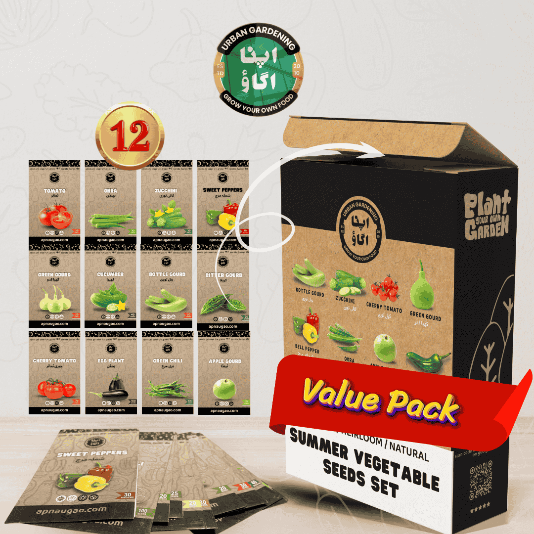 Summer Vegetable Home Gardening Kit GREEN BOX – 12 summer vegetable seed packs including tomato, okra, karela, cucumber and more for Pakistan home gardens