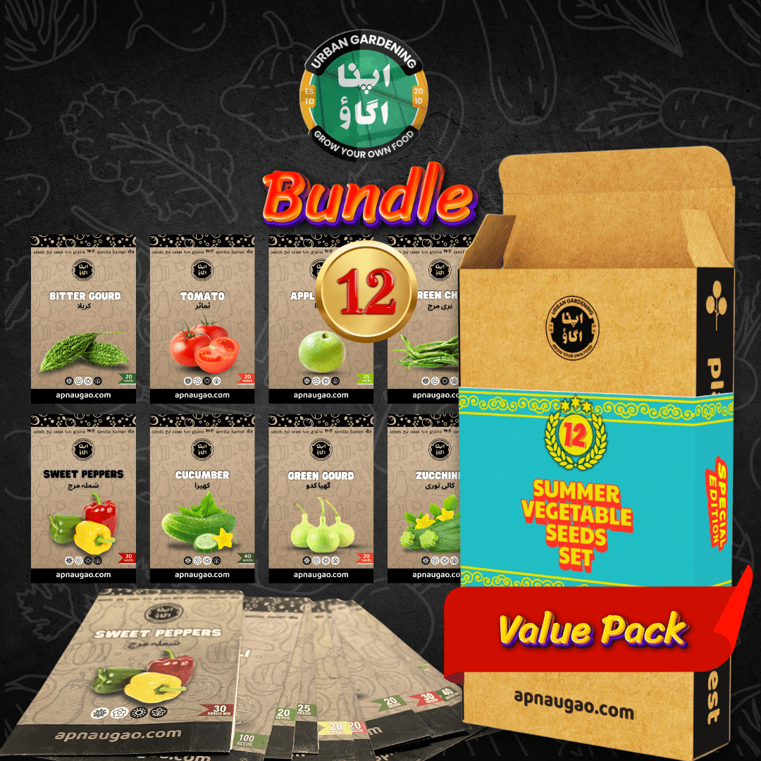 12 Summer Vegetables Home Gardening Kit. DIY Easy to grow. - Apnaugao