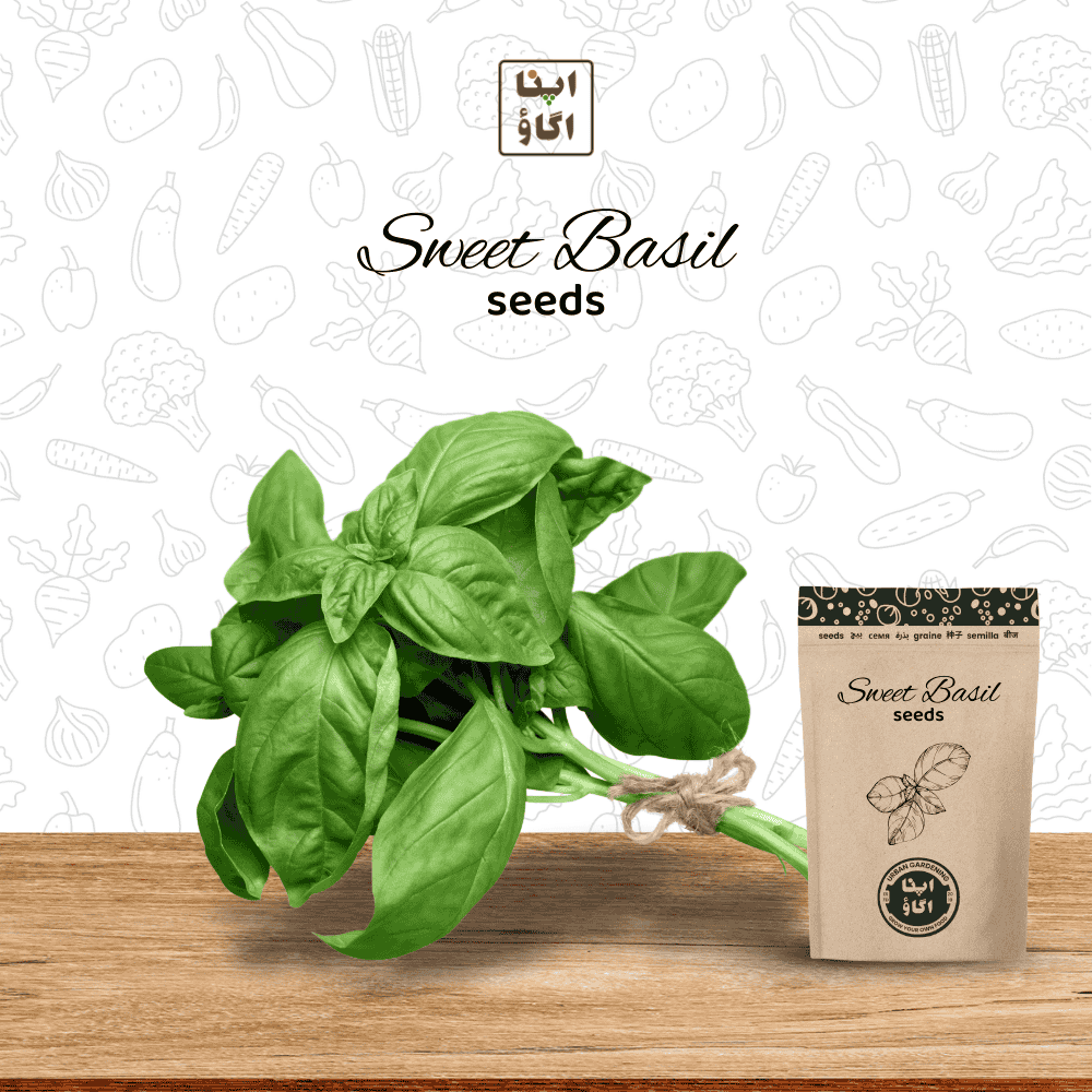 grow sweet basil seeds by apnaugao  in Pakistan