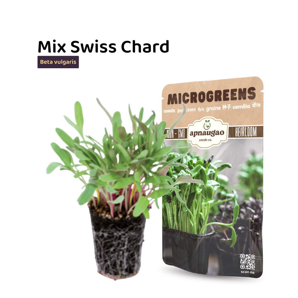 Microgreens package with sprouts and a label on a white background