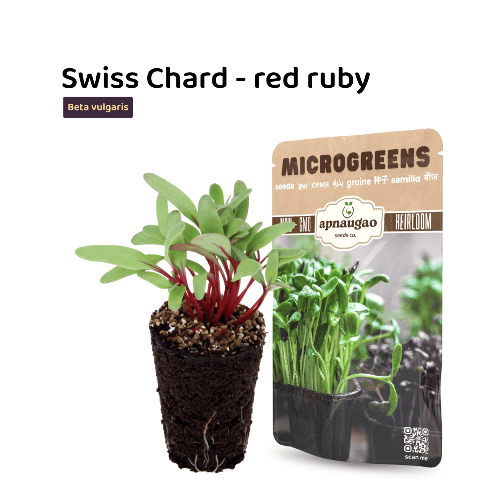 Swiss Chard microgreens with packaging on a white background