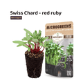 Swiss Chard microgreens with packaging on a white background