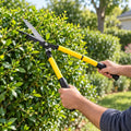 Trimming a green hedge with telescopic garden hedge shears
