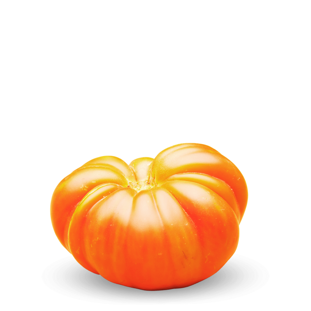 Heirloom Tomato Seeds - ANANAS - Apnaugao