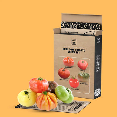 Heirloom tomato seeds set packaging with colorful tomatoes on a yellow background