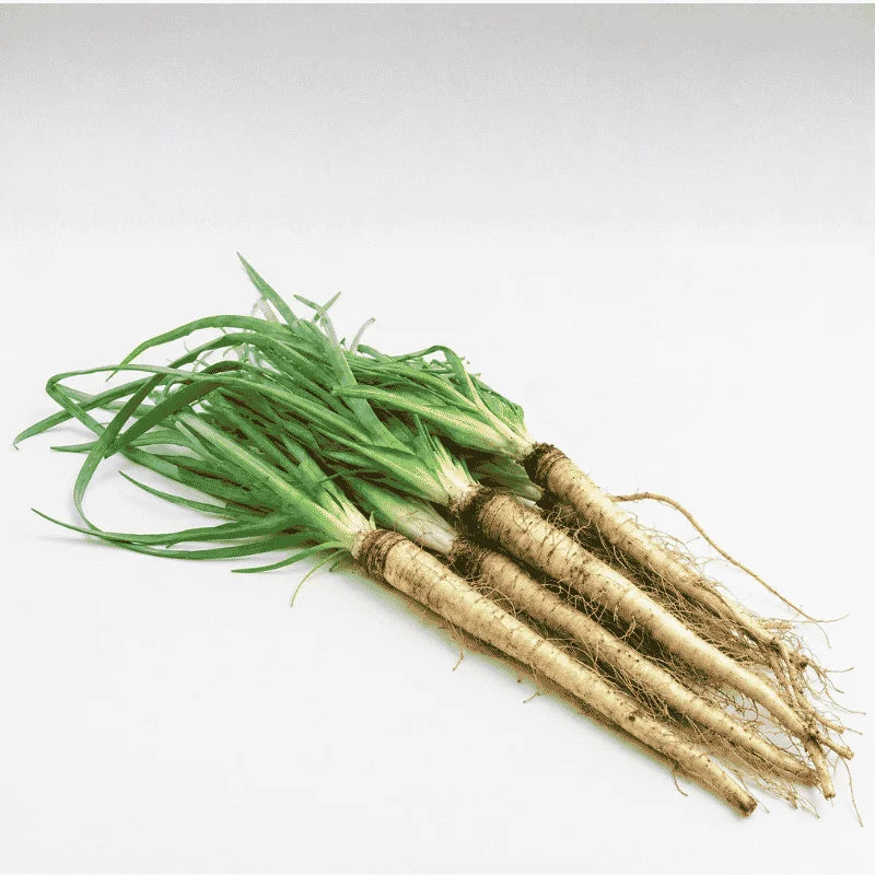 super food salsify seeds for home gardening in Pakistan