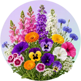 Winter flower seed bundles in Pakistan