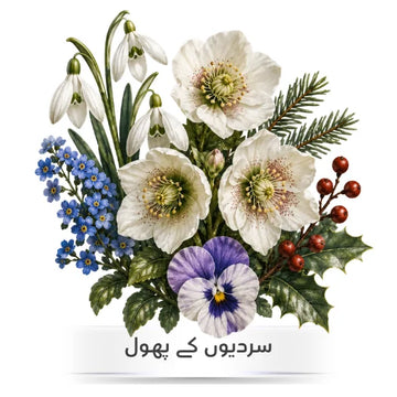 Winter flower seeds in Pakistan