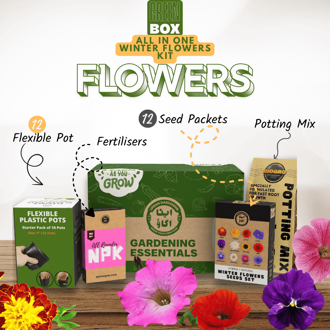 Gardening kit with seed packets, potting mix, and flowers on a wooden surface.