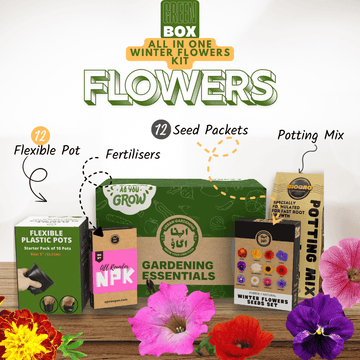 Gardening kit with seed packets, potting mix, and flowers on a wooden surface.