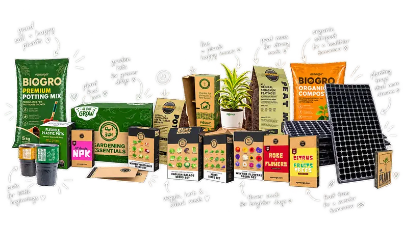 WINTER GARDEN ESSENTIALS
