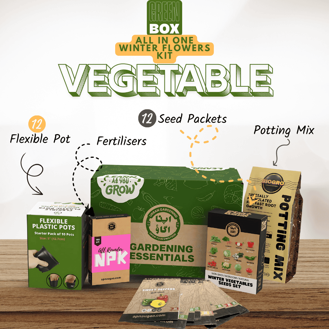 all in one vegetable home garden kit 
