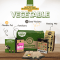 all in one vegetable home garden kit 