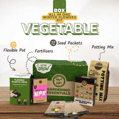 Winter Vegetable Gardening Kit GREEN BOX – all-in-one DIY kit with 12 winter vegetable seeds, pots, potting mix and fertilizer for Pakistan home gardens