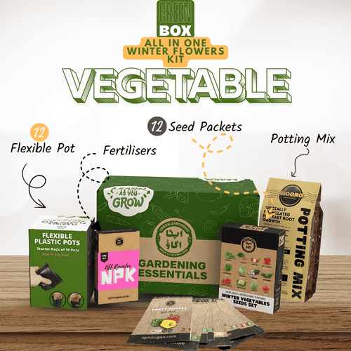 Winter Vegetable Gardening Kit - GREEN BOX