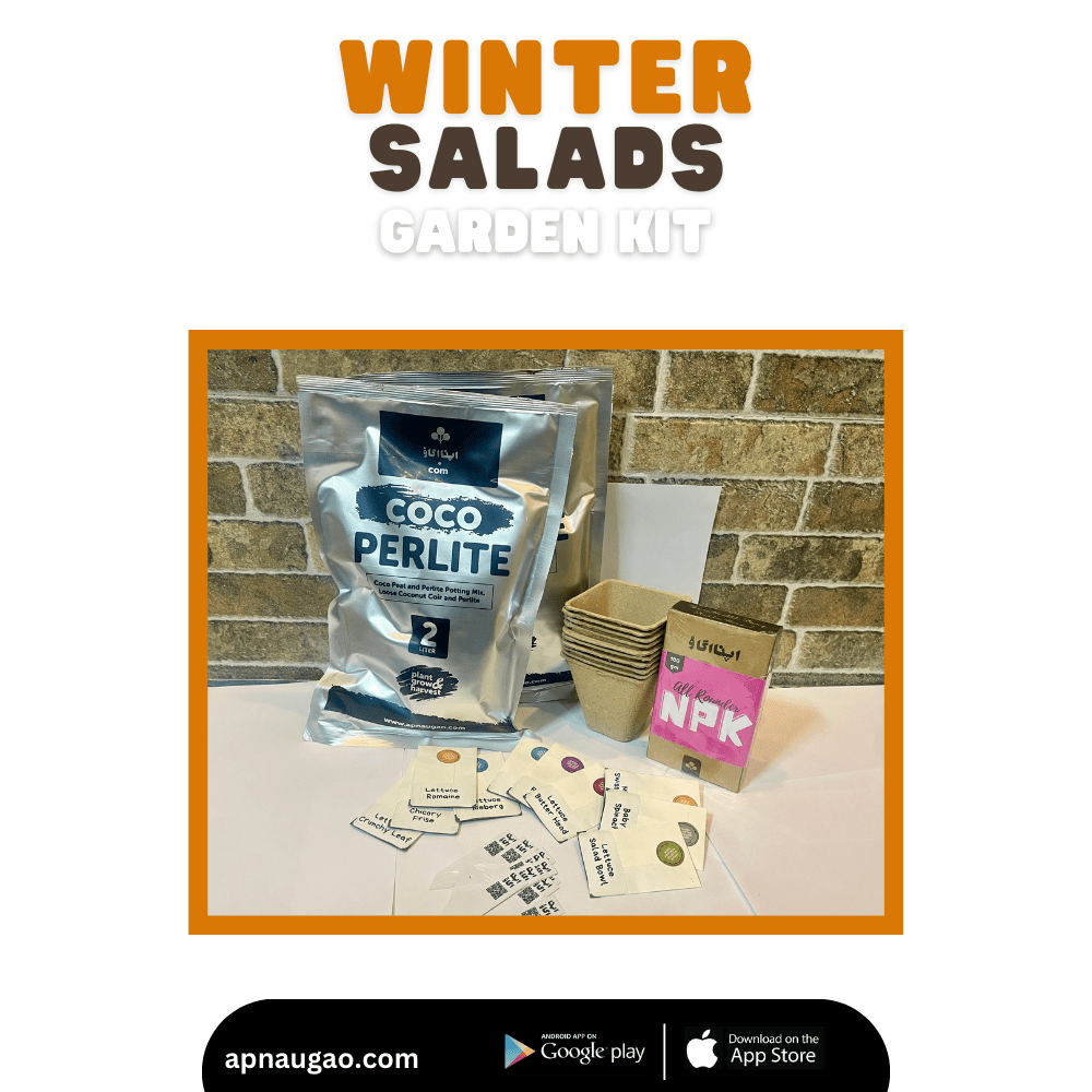 10 Salads Home Gardening Kit - DIY Easy to grow. - Apnaugao