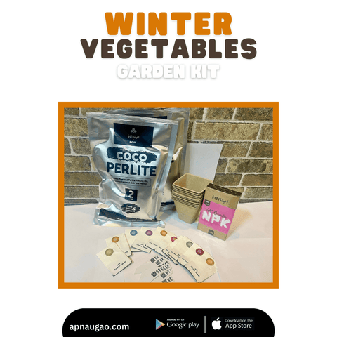 10 Winter Vegetables Home Gardening Kit. DIY Easy to grow starter pack. all in one.