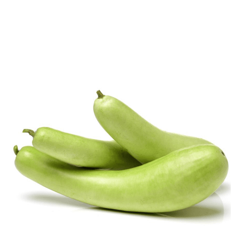 Heirloom Bottle Gourd (Loki) Seeds – Traditional Creeping Vine