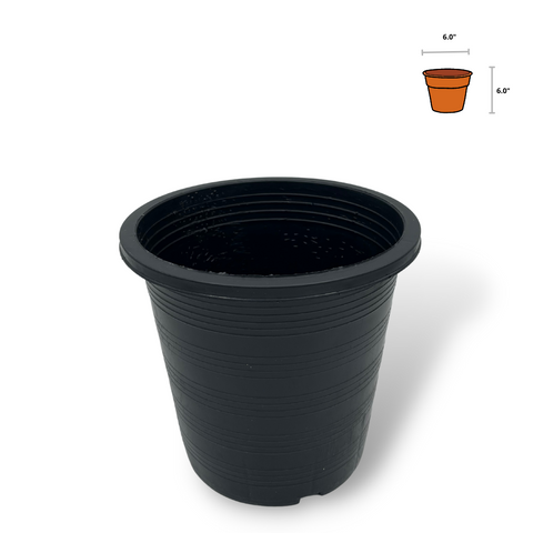 Black Plastic Pots 6"