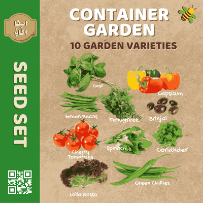 Container Garden Vegetable Seed Set - Apnaugao