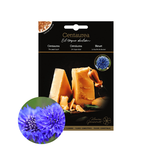 Centaurea CORN FLOWER Edible Flower Seeds