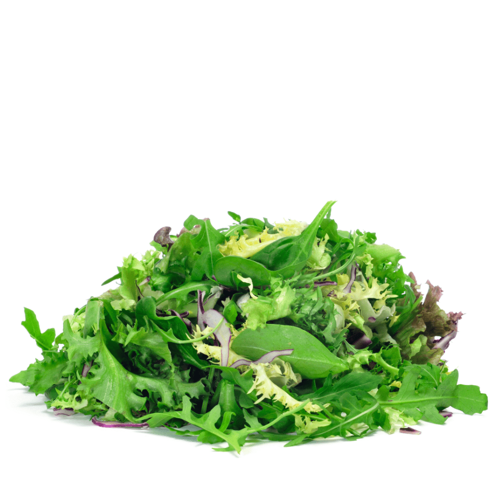 Spring Lettuce Mix Seeds – 7 Baby Leaf Varieties | Grow Salad at Home