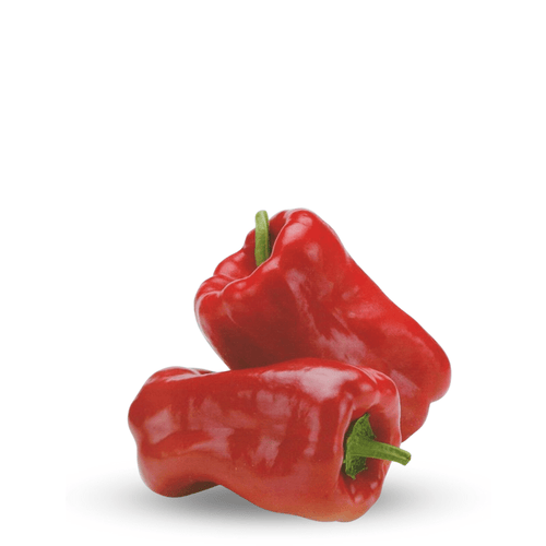 Heirloom Red Pepper ‘Dulce de España’ Seeds – Sweet Spanish