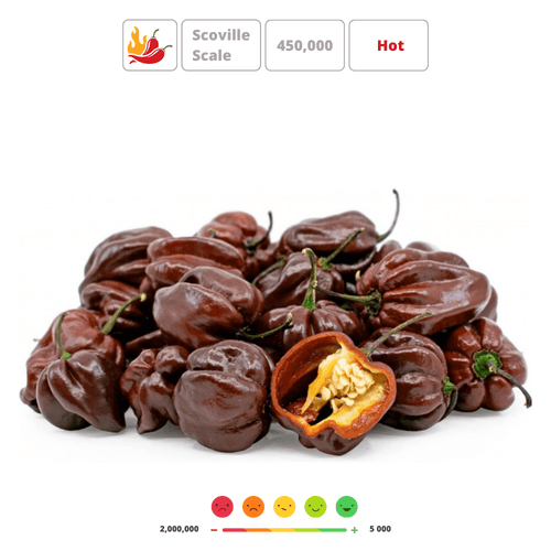 Habanero Chocolate Hot Chili Pepper Seeds – Smoky Dark-Brown
