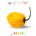 HABANERO ORANGE' Hot Chili Pepper Seeds - Apnaugao