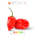 HABANERO RED' Hot Chilli Pepper Seeds - Apnaugao