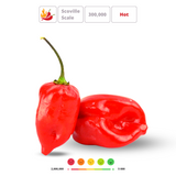 apnaugao_habanero_red_hot_chili-pepper-seeds