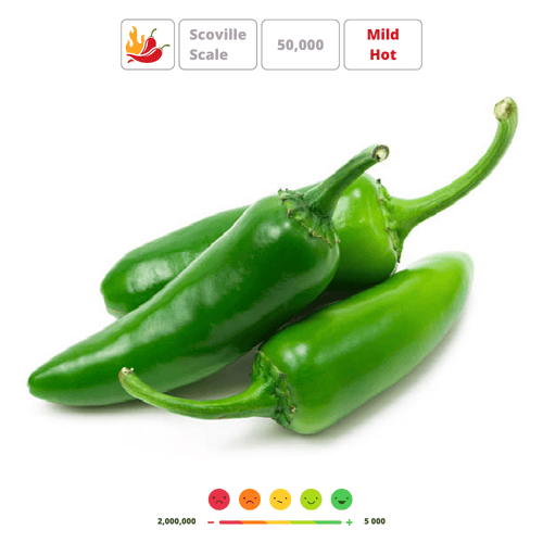 Jalapeño Hot Chilli Pepper Seeds – Classic Medium Hot