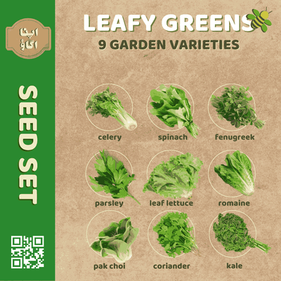 Leafy Greens Seeds Set - Apnaugao