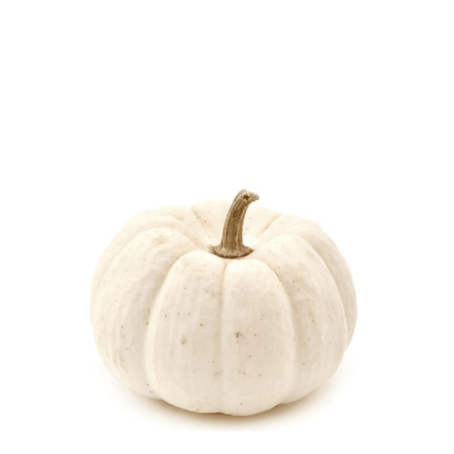 Pumpkin Lumina Seeds – White-Skinned, Sweet Flesh & Decorative Elegance