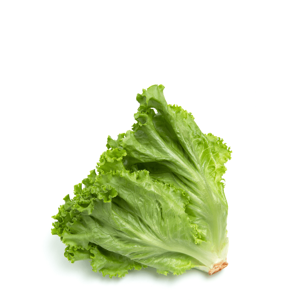 Leaf Lettuce Seeds - Apnaugao